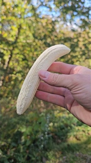 Harvest Right Freeze Dryer Giveaway