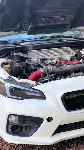 i love subarus 😑 chasing a coolant issue atm #subaru #wrxsti #sti #wrx #subie #subiegang #subieflow #subienation #car #cars #cartok #carsoftiktok #broken #fyp #trending #xyzbca