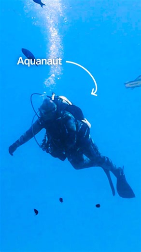 Ever heard the term 'aquanaut'? Kirk Krack, Human Performance Dive Lead at DEEP, explains what it means to be an aquanaut and what excites him most about Vanguard, our pilot subsea human habitat 🤿 #DEEP #OceanExploration #Aquanaut