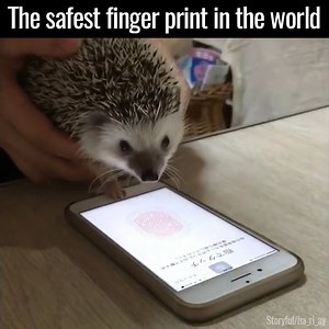 I can't believe this worked 😅 | UNILAD