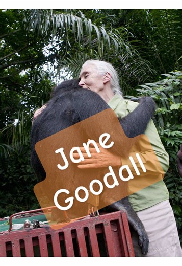 Après des semaines de soins, Jane Goodall rend ce jeune chimpanzé à la forêt, là où il appartient vraiment. Ce geste résume toute une vie dédiée au respect du vivant. Soigner, protéger, puis laisser partir. Jane Goodall - 1934 - 2025 #janegoodall #monkey #chimpanzee #nature