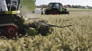 392K views · 2.6K reactions | One for all? Try out the new ORBIS 900 - from laid maize to wead, ORBIS gets them all. | CLAAS | Facebook