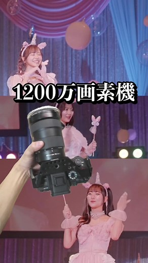 初心者におすすめのカメラ紹介と設定