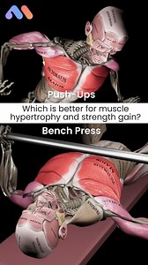 🏋️‍♂️💪 𝗕𝗲𝗻𝗰𝗵 𝗣𝗿𝗲𝘀𝘀 𝘃𝘀. 𝗣𝘂𝘀𝗵-𝘂𝗽𝘀: Which is better for muscle hypertrophy and strength gain? 🤔 A study conducted by Kikuchi and Nakazato (2017) aimed to address this question. Participants in the push-up group had their load adjusted based on their pre-intervention 1RM bench press, ensuring consistency among participants. Regular push-ups represented approximately 65% of body weight, while kneeling push-ups were around 50% of body weight, allowing for fair load comparisons. O