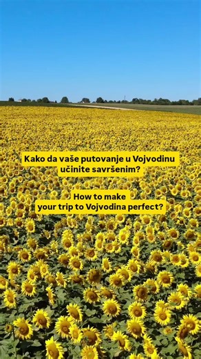 #vojvodinaguide #putovanja #wheretotravel #travelplanning #serbiatravel