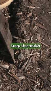 Spring Gardening Must-Do: Bed Edging & Container Soil Refresh