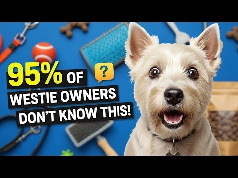 95% of Westie Owners Don’t Know This! 🐶✨ Must-Watch Secrets for Westie Lovers!
