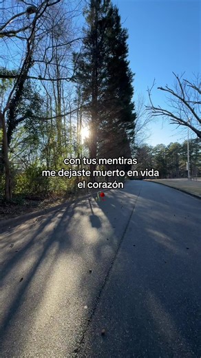 Alguien Te Va A Hacer Llorar • Intocable #alguientevaahacerllorar #intocable #grupointocable #letrasdecanciones #estadosparawhatsapp