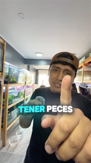 #peces #pecesornamentales #acuariofilia #kids #niños #Acuario | Happy Fish Aquarium