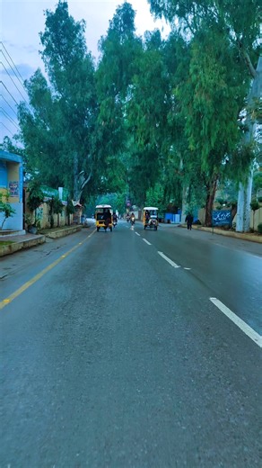 Exploring Jhelum's Weather Conditions