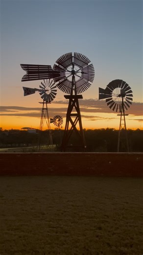 Peaceful, calm, beautiful sunset to end a great week at the American Windmill Museum! Even the Southern Cross is still, which is rare!! We hope you have a great weekend and we hope to see you next week! #americanwindmillmuseum #windmillsunset #nowindinlubbocktexas #visitlubbock | American Windmill Museum