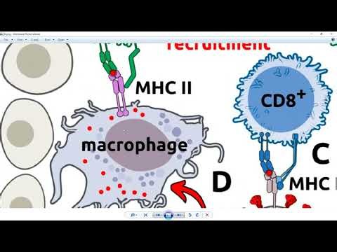 Research scientist explains spike protein