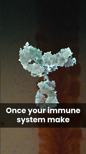 How Autoimmunity Turns Your Body Against Itself