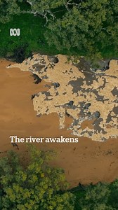 1.5M views · 10K reactions | When the Greenough River comes alive, it’s a wonder to the eyes and, after the wettest winter in 46 years, its truly a sight to behold. So sit back, turn your sound on  and take in the spectacle of this mesmerising transformation as captured by the ABC's Chris Lewis.  Chris Lewis via ABC Midwest and Wheatbelt | ABC Perth | Facebook