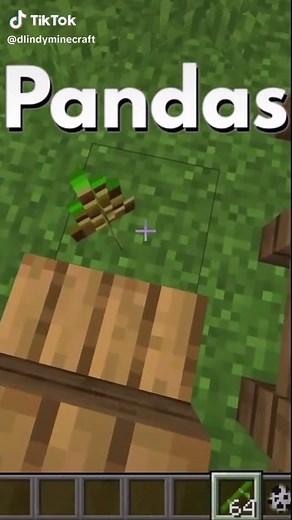 How to breed Pandas in Minecraft #minecraftbreeding #pandas