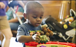 Cognitive Development