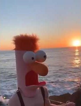 Meep Meep Island in the Sun