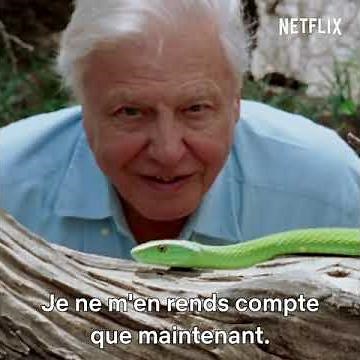 A life on our planet