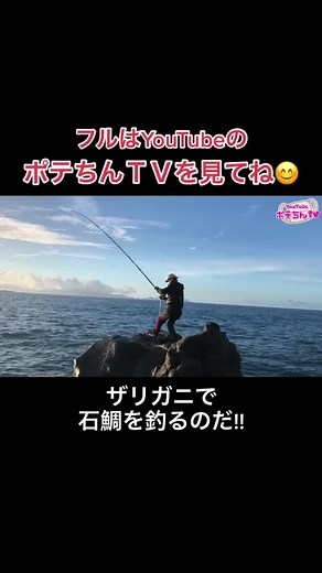 釣りの楽しみ：ポテちんTVでの石鯛釣り