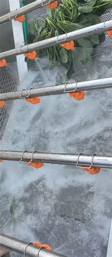 Bubble washing machine | small bubble washing machine | automatic bubble washing machine