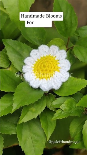 Handmade Crochet Daisy in the Garden 🧶 #crochetflower #lefthandedcrochet #handmade