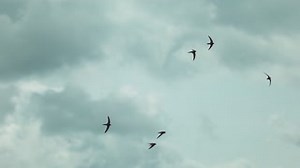 15K views · 591 reactions | There is something quite special about...