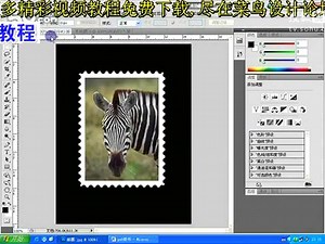 photoshop基础视频ps网页设计 视频教程