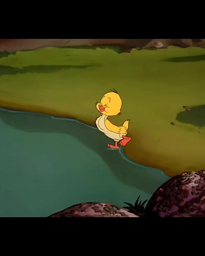 #animation #pato #cartoon