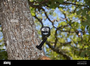 Closeup on a video surveillance camera in the forest Stock Photo - Alamy