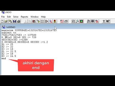 Using Lindo to solve Linear Programs