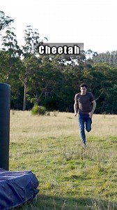 1.1K views · 59 reactions | How different animals fight | Jiemba Sands | Facebook