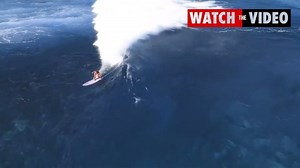 Pro surfer strips off for safari