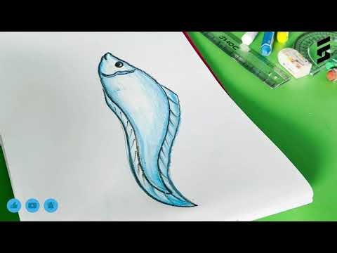 Fish Drawing | How to Draw a Fish with Color