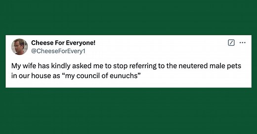 26 Of The Funniest Tweets About Cats And Dogs This Week (Dec. 22-28)