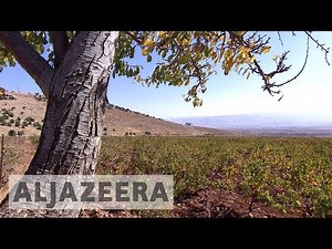 Lebanon's illicit cannabis trade goes up in smoke amid Syria war