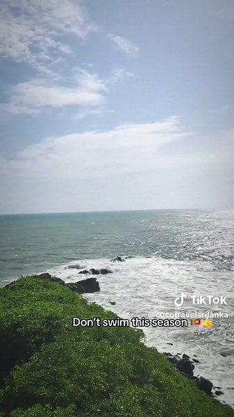Srilanka cocotravels on TikTok