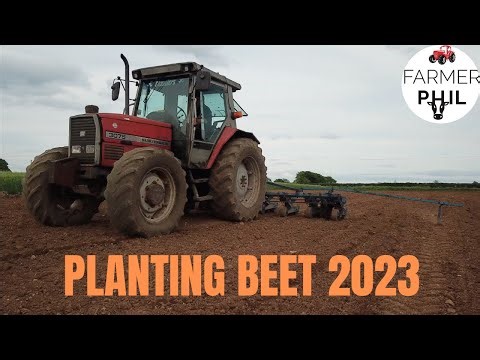 2023 FODDER & SUGAR BEET PLANTING: MF 3075 & WEB PRECISION PLANTER