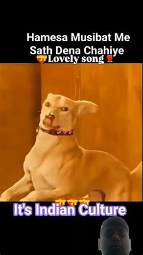 hamesha musibat me sath dena chahiye