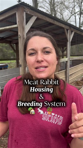 How to House and Breed Meat Rabbits for Homesteading