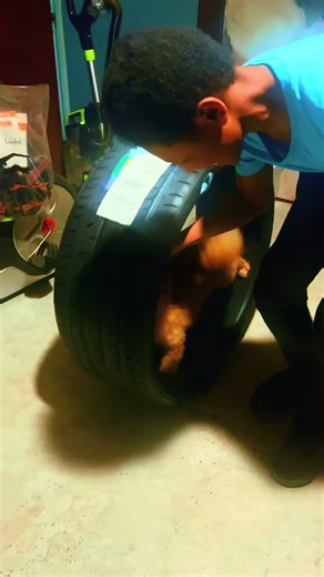 Beware of the dog #bewareofdogs #rollinggame #max