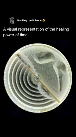 Science | Memes | Universe on Instagram: "A visual representation of the healing power of time, as seen in this video, showcases an intricate process of erosion and change using a scientific art installation. The art piece uses a constantly rotating arm to etch a smooth surface, creating complex patterns over time. The "healing" part of the process is represented by the way the constant motion eventually smooths out and erases previous marks, making way for new ones. This installation beautifull