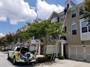 Grade A Critter Rat Removal Alpharetta: Trusted Pest Control Services for Rats | FinancialContent