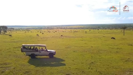 11K views · 287 reactions | Kenya, the land of diversity: There’s so much more to Kenya than the Great Wildebeest Migration! From sun-kissed beaches and buzzing cities to ancient traditions, breathtaking highlands, and unforgettable adventures — Kenya is a destination where every corner tells a new story. Come and discover the magic beyond the migration. #MagicalKenya #BeyondTheMigration #TembeaKenya | MagicalKenya | Facebook