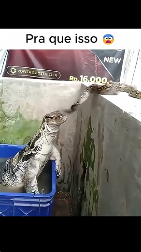 Que KKIK #funnyvideo #funnyvideo