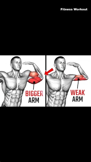5 Effective Arms Exercises At Gym 🔥 | Workout Zone