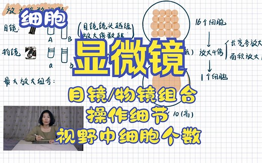 细胞——显微镜的使用【字幕版】