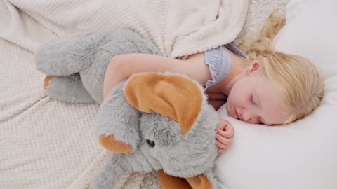 Elephant Stuffed Animal 4lb, Elephant Weighted Stuffed Animal, Weighted Plush for Kids and Adults, Gift Birthday,Valentine,Christmas 25in