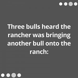 Three bulls heard the rancher was bringing another bull onto the ranch: | Comedy Company