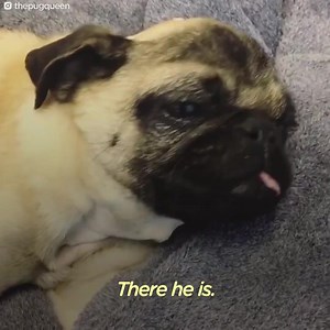 31K views · 4.2K reactions | 6 YEARS AGO, ON THIS DAY, CHANCE DIED....