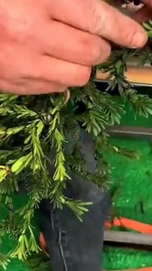 Ganito Pala Magdesign ng mga Puno | Madiskarteng Buhay